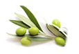 moulinderomanou.com - olives verte