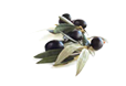 moulinderomanou.com - olives noire des garrigues